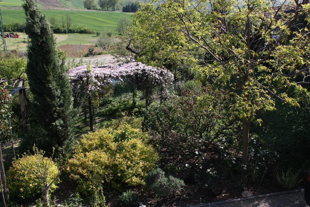 B&B La Casetta Villaromagnano Buitenkant foto